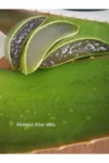 ژل آلوئه ورا - ۳۳۰ میلی‌لیتر - ۱۰۰٪ طبیعی - 4456