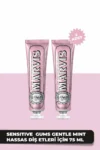 پک دو عددی خمیردندان نعنایی ملایم برای لثه‌های حساس 75 میلی‌لیتر - 4897