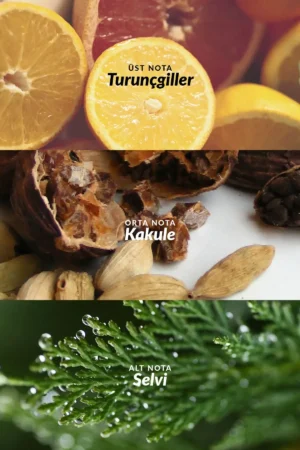 عطر مردانه فول اسپید 75 میلی لیتر - 4347