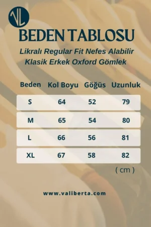 پیراهن آکسفورد کلاسیک مردانه نرمال فیت با قابلیت تنفس و لیرا - سفید - 4868