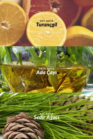 عطر مردانه پرسیو 100 میلی لیتر. - 4329