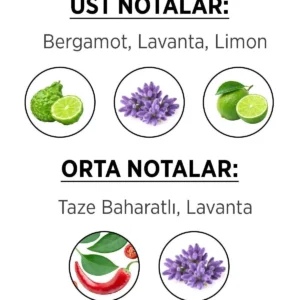 عطر مردانه ادکلن محدود ۵۰ میلی‌لیتری و دئودورانت مردانه ادیشن ۳ عددی ۱۵۰ میلی‌لیتری - 4324