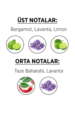 عطر مردانه ادکلن محدود ۵۰ میلی‌لیتری و دئودورانت مردانه ادیشن ۳ عددی ۱۵۰ میلی‌لیتری - 4324