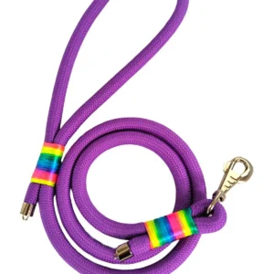 leash برای پیاده‌روی سگ، بند راهنمای سگ 130 سانتی‌متر در 1.2 سانتی‌متر - 8669