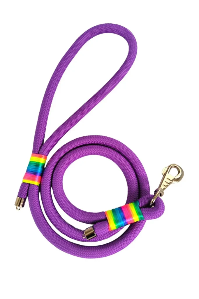 leash برای پیاده‌روی سگ، بند راهنمای سگ 130 سانتی‌متر در 1.2 سانتی‌متر - 8669