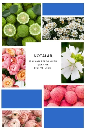 عطر ادوتویلت انسرتو یونیسکس 100 میلی لیتر - 9637