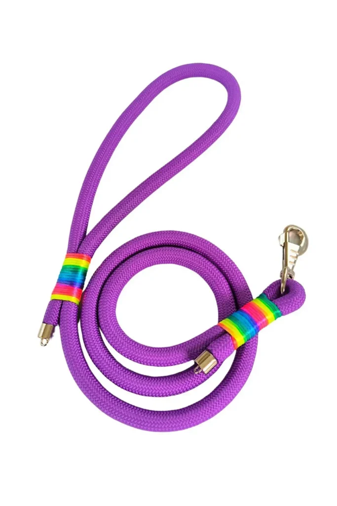 leash برای پیاده‌روی سگ، بند راهنمای سگ 130 سانتی‌متر در 1.2 سانتی‌متر - 8669