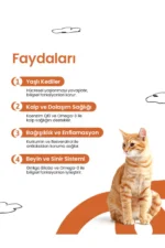 مکمل طول عمر برای گربه‌ها - 8629