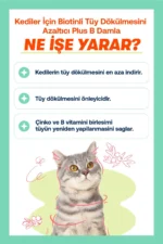 قطره پلاس ب بیوتین برای کاهش ریزش مو در گربه‌ها ۵۰ میلی‌لیتر - 8633