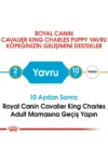 خوراک بچه‌سگ کاوالییر کینگ چارلز ۱.۵ کیلوگرم - 8770