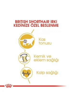 خوراک گربه بالغ بریتیش شورت هیر ۲ کیلوگرم - 9004