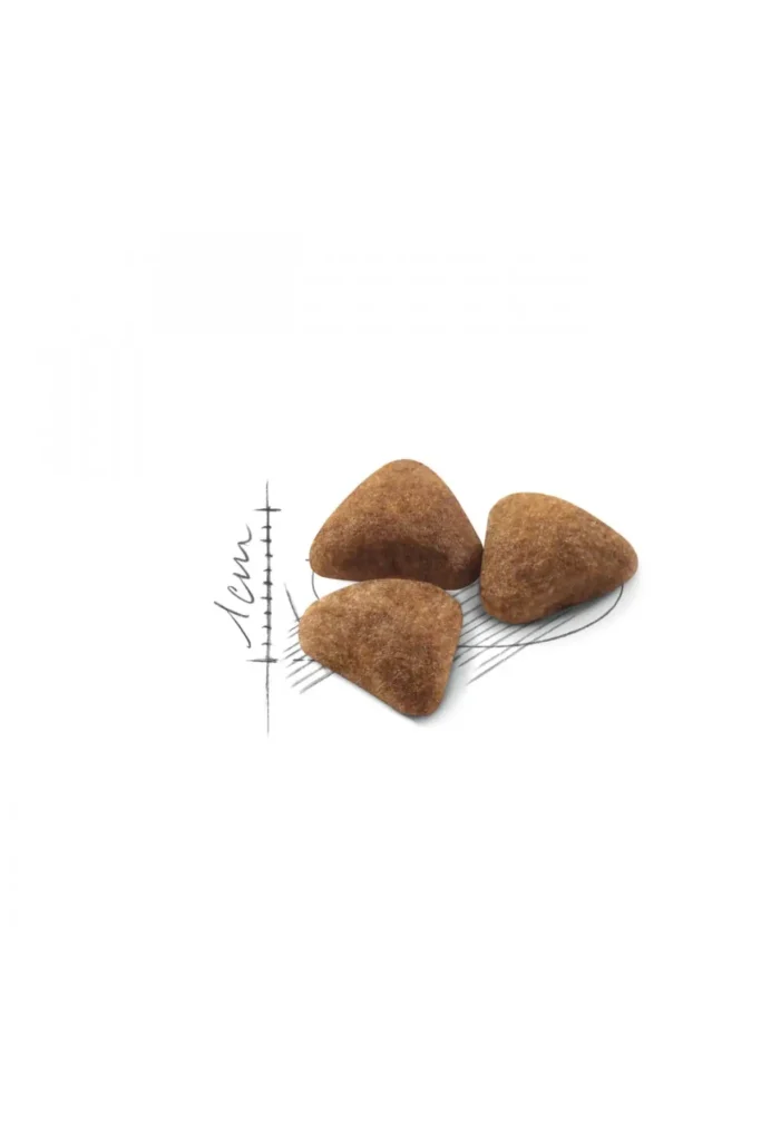 خوراک خشک گربه بزرگسال Indoor27 – 2 کیلوگرم - 8609