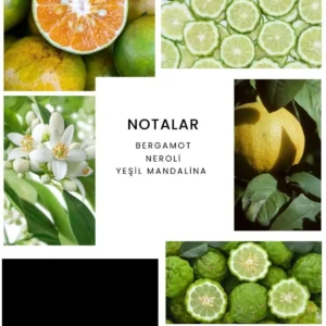 عطر مردانه لاکی من E008 حجم 100 میلی‌لیتر ادوتویلت - 10023