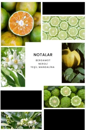 عطر مردانه لاکی من E008 حجم 100 میلی‌لیتر ادوتویلت - 10023
