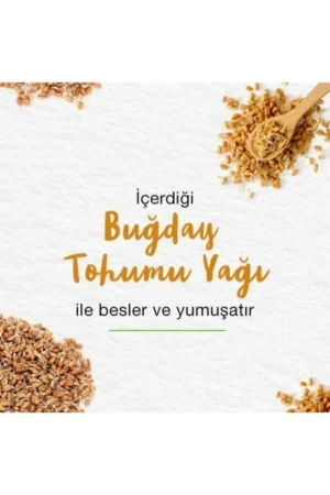 بالم لب مغذی، روغن دانه گندم، مرطوب‌کننده، رنگ ۱۰۰% طبیعی، بدون سیلیکون، ۴.۵ گرم، بسته ۳ عددی - 10306
