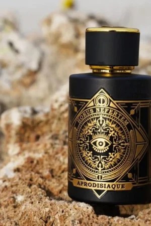 عطر افرو دیزیاک 100 میلی‌لیتر مردانه هوروس آفرود عطر مؤثر برای سال نو و هدیه عید - 9986
