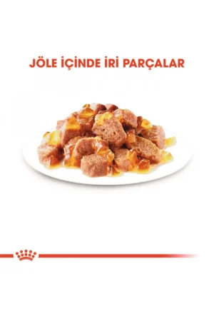 خوراک گربه اینتنز بیوتی ۸۵ گرم (۱۲ عددی) - 9919