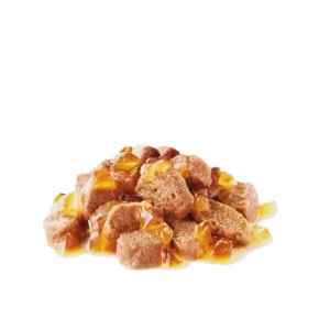 خوراک گربه اینتنز بیوتی ۸۵ گرم (۱۲ عددی) - 9919