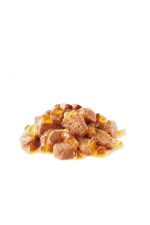 خوراک گربه اینتنز بیوتی ۸۵ گرم (۱۲ عددی) - 9919